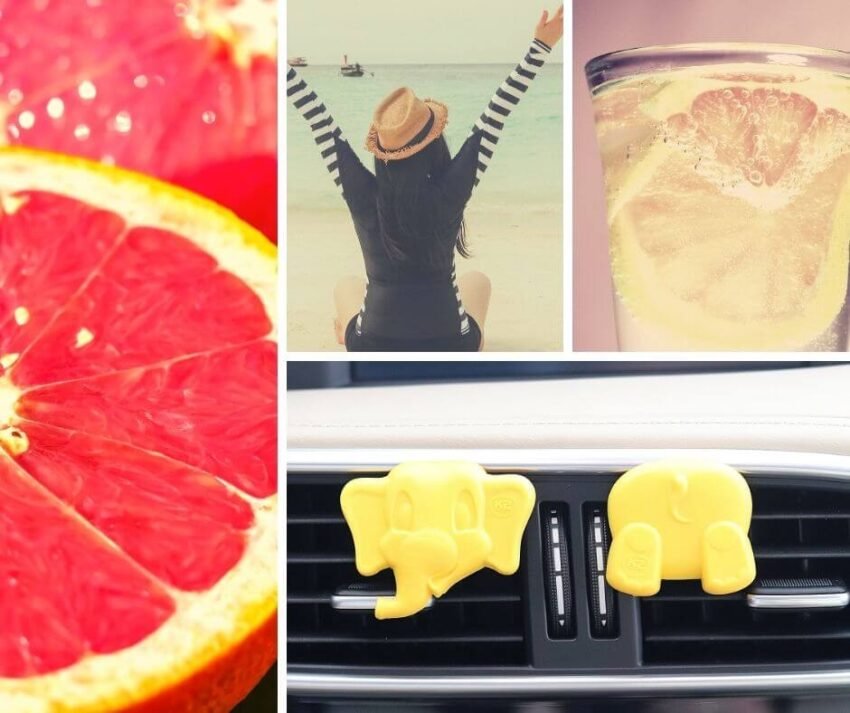 K2 ARLO GRAPEFRUIT - Image 3