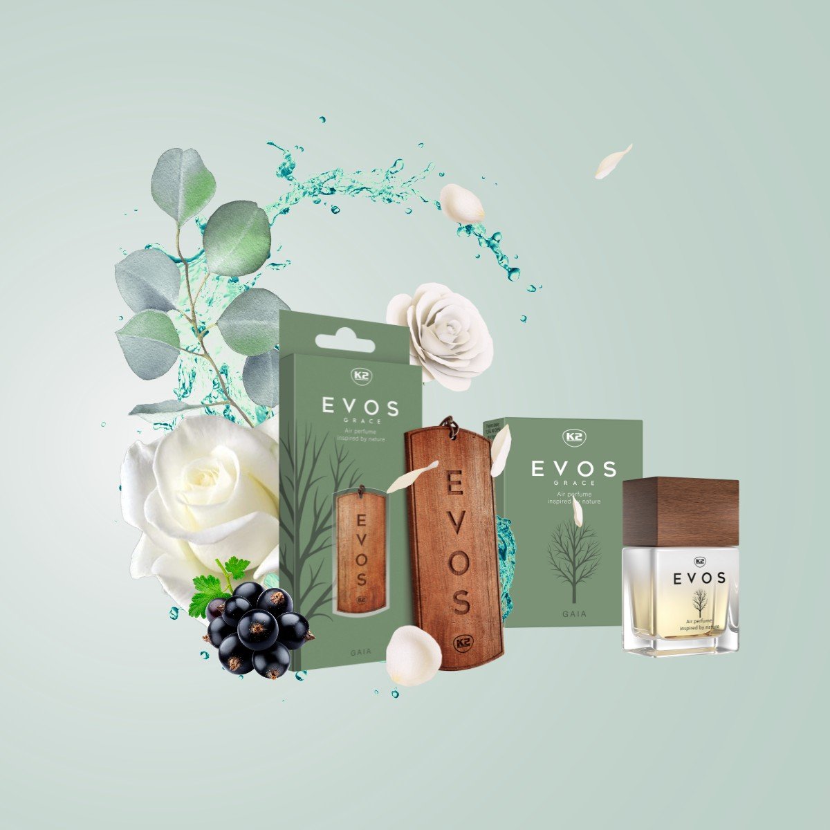 K2 EVOS GRACE GAIA - Image 4